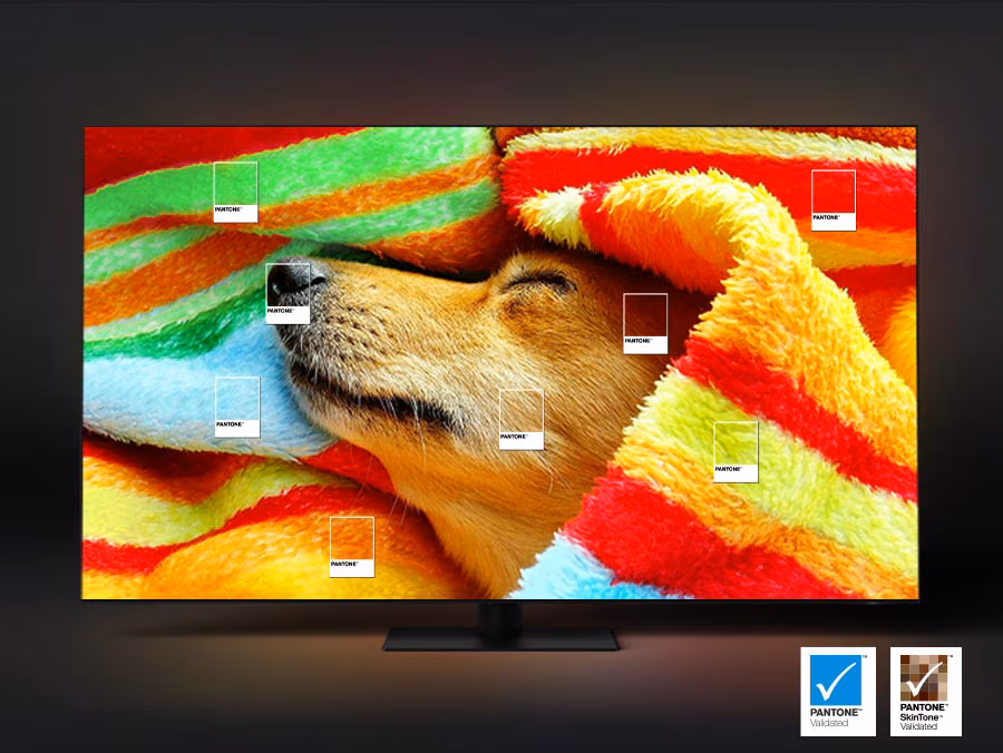 A dog wrapped around a colorful blanket is on display.